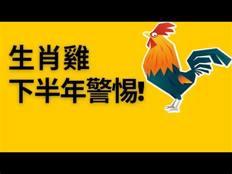 2023屬雞買房方位|【2023屬雞買房方位】2023屬雞買房黃金指南：方位、樓層、財。